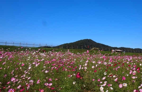 2018년 고맙습니다.