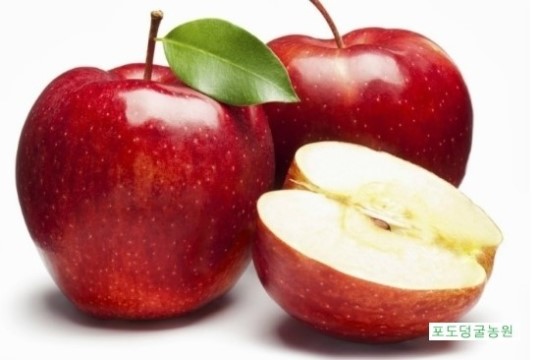 아침인사 잘하자